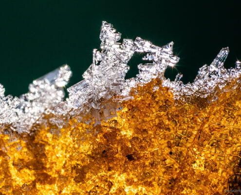 Frost & Eis fotografieren