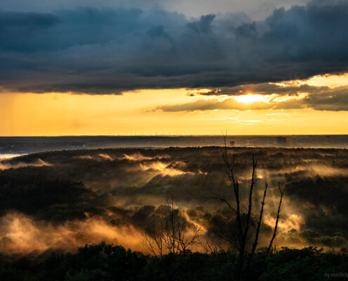 Foto Sonnenuntergang mit Wald und Nebel