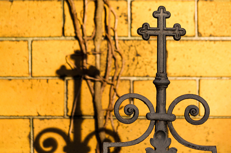 Fotokurs Berlin am Friedhof Fotokurs Berlin am Friedhof